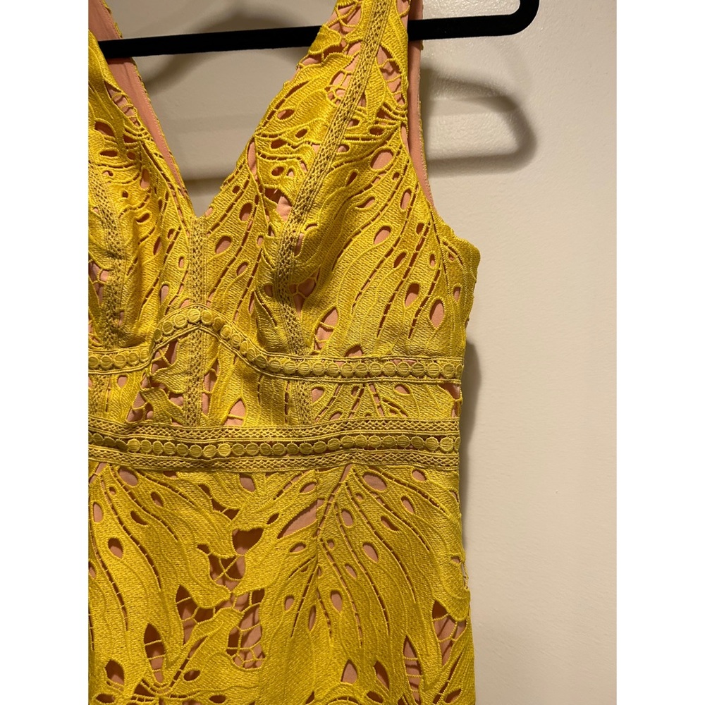 Maeve Gardenia Crochet Column Dress - Picture 5 of 7